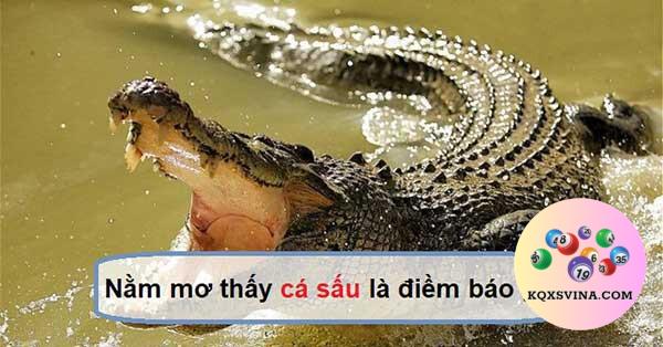 Nằm mơ thấy cá sấu là điềm báo gì?