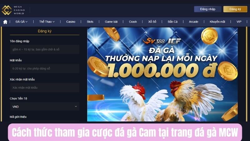 Cách thức tham gia cược đá gà Cam tại trang đá gà MCW