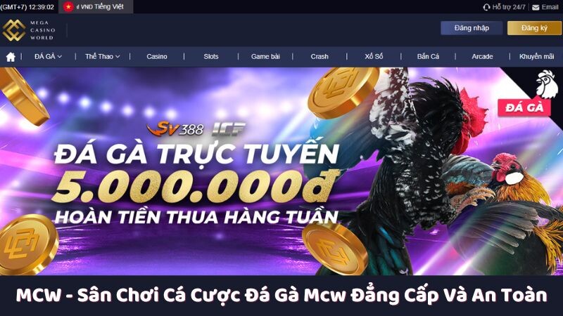 Giới thiệu sơ lược về MCW