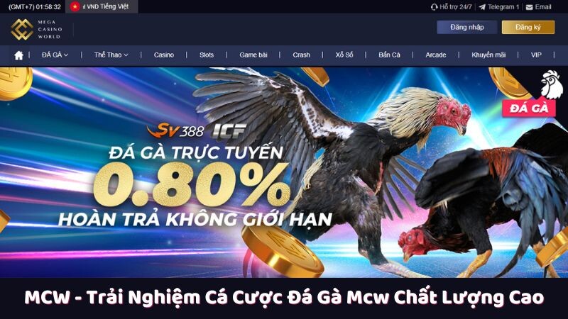 Lý do nên chọn cá cược đá gà mcw tại trang web MCW là gì?